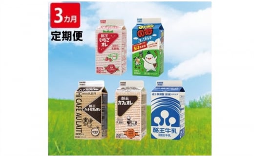 3ヵ月定期便】酪王カフェオレバラエティ15本セット5種類（300ml×各3本