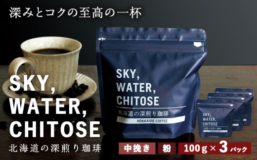 【北海道千歳市】SKY,WATER,CHITOSE 北海道の深煎り珈琲(100g)×3パック