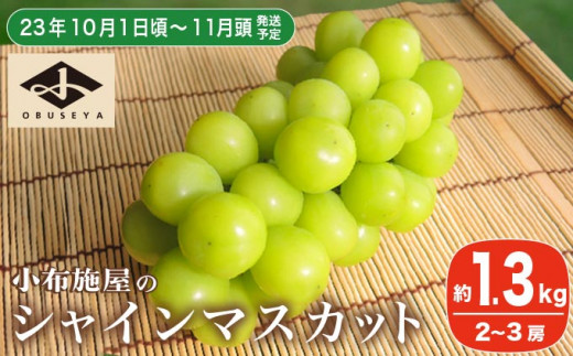 産地直送 厳選シャインマスカット 1.2kg以上 長野県小布施町産 ［ JAな