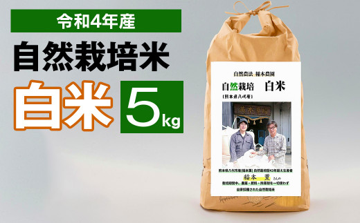 令和4年度産 熊本県産 自然栽培米 稲本一号 白米 5kg 精米 お米 - 熊本