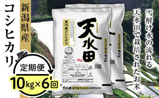 27 106a 6ヶ月連続お届け 新潟県黒川産コシヒカリ10kg 5kg 2袋 天水田 新潟県胎内市 ふるさとチョイス ふるさと納税サイト