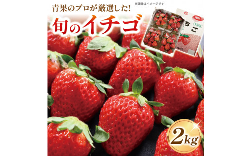 いちご 紅ほっぺ ゆめのか さがほのか 恋みのり 2000g フルーツ 果物 冷蔵 徳島県 阿波市 人気急上昇 16000円