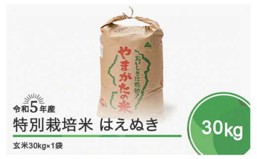 令和5年産 米 はえぬき 30㎏ 大石田町産 特別栽培米 玄米 - 山形県大石