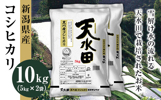 27-101新潟県黒川産コシヒカリ10kg（5kg×2袋）【天水田】 - 新潟