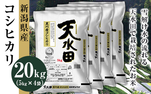 27-201新潟県黒川産コシヒカリ20kg（5kg×4袋）【天水田】 - 新潟県胎内