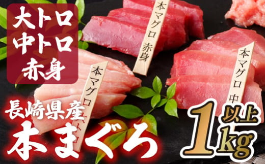 A122p 長崎県産 本マグロ (大トロ・中トロ・赤身) 計1kg以上 海鮮丼のタレ付き 真空パック後に超速冷凍【本家永松家】マグロ まぐろ 鮪 大トロ  大とろ 中トロ 中とろ 赤身 刺身 海鮮丼 - 長崎県佐世保市｜ふるさとチョイス - ふるさと納税サイト