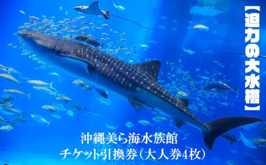 迫力の大水槽】沖縄美ら海水族館 チケット引換券＜大人券4枚＞ 本部町 海洋博 水族館 カップル 家族 ファミリー 親子 ジンベイザメ マンタ 水槽 魚  海水 海 人気 オススメ ギフト プレゼント 贈答 贈り物 プロポーズ - 沖縄県本部町｜ふるさとチョイス - ふるさと納税サイト