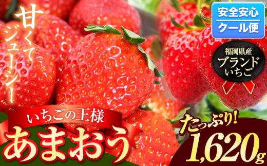 いちご あまおう 約1620g (約270g×6パック) 博多 グランデ等級 【配送