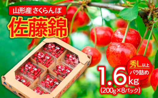 山形市産 さくらんぼ 佐藤錦 L以上 1.6kg(200g×8パック)バラ詰め 【令和7年産先行予約】FS24-621くだもの 果物 フルーツ 山形  山形県 山形市 2025年産 - 山形県山形市｜ふるさとチョイス - ふるさと納税サイト