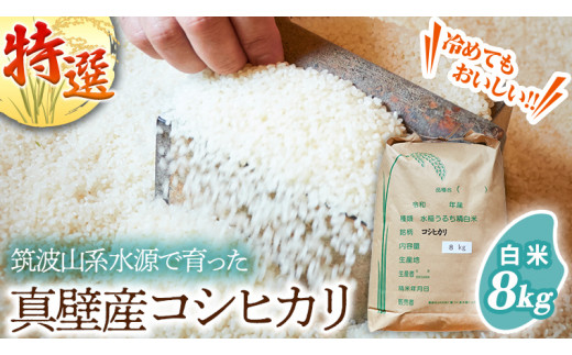 桜川市 真壁産 コシヒカリ 白米 8kg 米 コメ こしひかり お米 ごはん