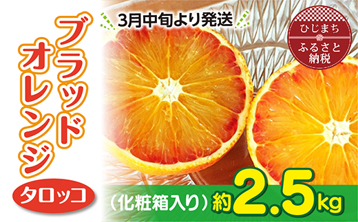 2024年3月下旬より発送 ブラッドオレンジ(タロッコ)2.5kg(11玉～20玉) 化粧箱入り【1134446】