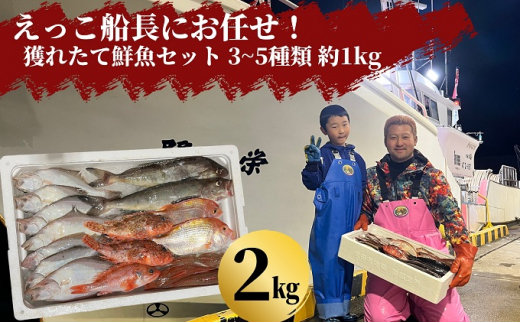 えっこ船長にお任せ！獲れたて鮮魚セット 3～5種類 約2kg（鮮魚 詰合せ ボックス）