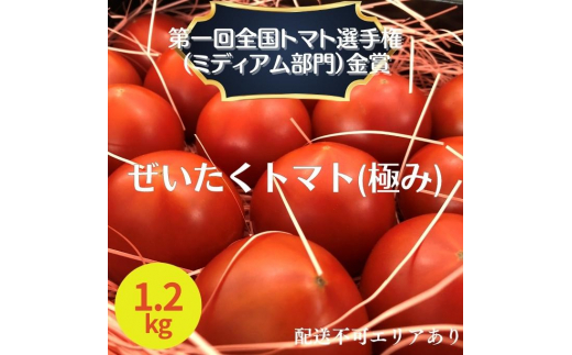 ぜいたく トマト (極み) 1.2kg 第一回全国トマト選手権（ミディアム部門）金賞