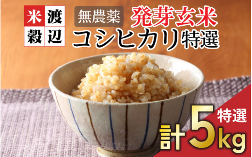 元気になる発芽玄米ご飯用 玄米５kg ４年産コシヒカリ 特別栽培① 農薬