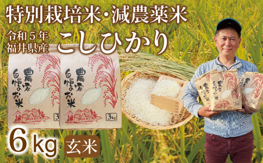 〈新米〉減農薬米 こしひかり 6kg(3kg×2袋) ／令和5年 福井県産