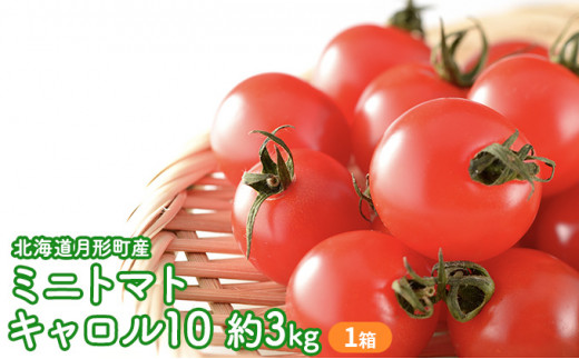 2024年夏出荷【冷蔵】北海道月形町産ミニトマトキャロル10 約3kg 1箱 [№5783-0316]