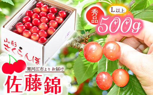 【先行予約】令和6年産 山形の さくらんぼ 「佐藤錦」 500g 秀品・L以上 山形産 2024年産【2024年6月中旬頃～6月下旬頃発送予定】  012-A-JA001 - 山形県寒河江市｜ふるさとチョイス - ふるさと納税サイト