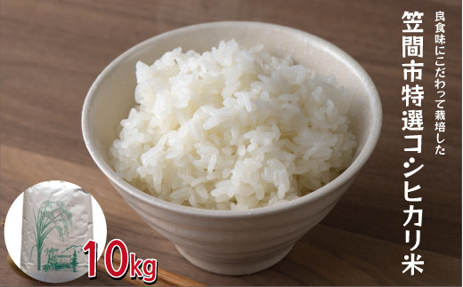 【令和５年度米】笠間市特選コシヒカリ米（白米） 10kg