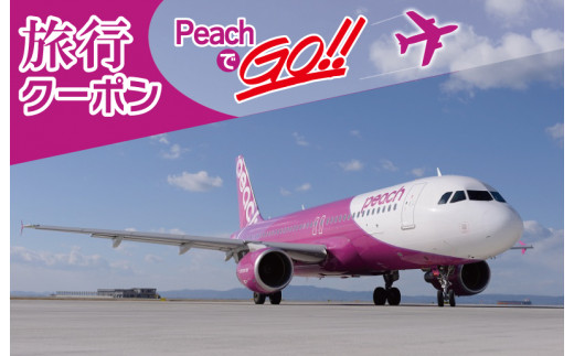 100F019 PeachでGo！！（泉佐野市内宿泊編）旅行クーポン（30,000円分