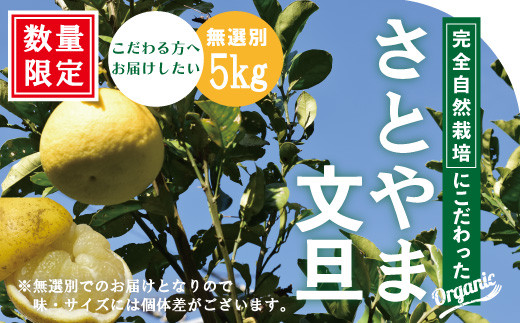 ご好評につき令和5年度は終了いたしました】23-505．【早期受付・期間限定・数量限定】しまんと流域 栽培期間中農薬 ・化学肥料不使用！さとやま文旦5kg（無選別）【2024年2月下旬～3月下旬配送】 - 高知県四万十市｜ふるさとチョイス - ふるさと納税サイト