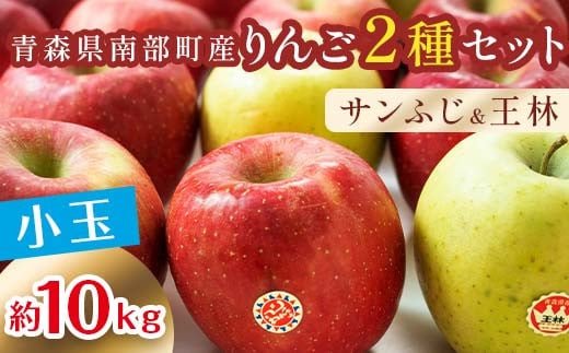 秀 （小玉） 青森産 完熟 りんご 約10kg サンふじ 王林 2種セット 【誠