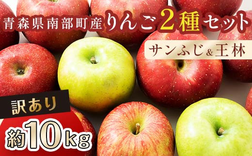 訳あり】 青森産 完熟 りんご 約10kg サンふじ 王林 2種セット （中