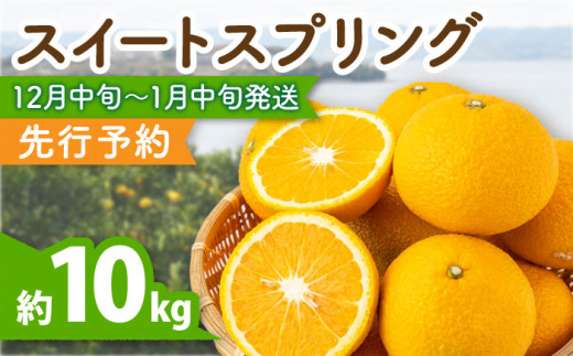 スイートスプリング 約10kg 長崎県産 / 爽やかな甘い香り 12月