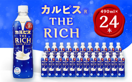 yQnٗюszwJsX THE RICHxPET490ml@24{y1335977z