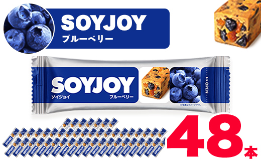 ふるさと納税 徳島県 板野町 SOYJOY ソイジョイ ブルーベリー 48本