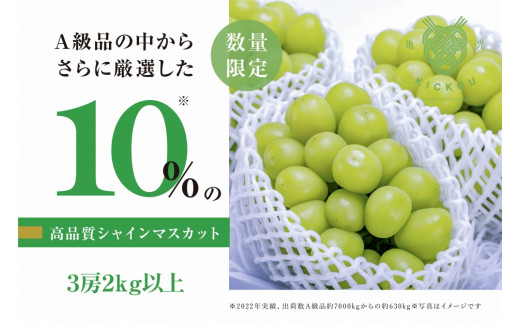 〖数量限定〗粒が詰まった高級シャインマスカット「亀光」3房2kg以上【2024年発送】（RO）D-133