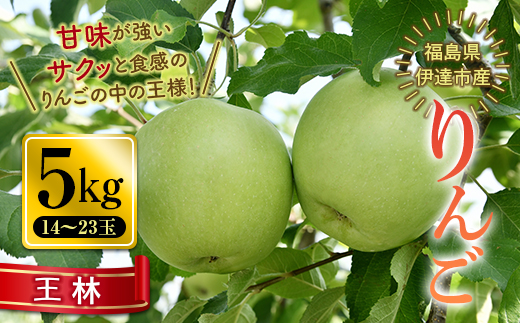 秋の味覚 りんご 王林 （おうりん） 5kg（14～23玉） 福島県 伊達市 林檎 リンゴ フルーツ 果物 産地直送 甘い F20C-653