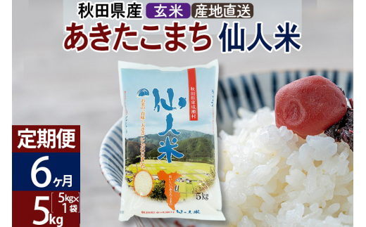 定期便6ヶ月】あきたこまち 秋田県産 仙人米（玄米） 5kg（5kg×1袋）令