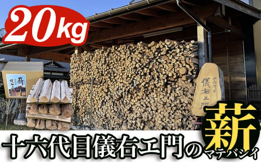 【千葉県富津産】十六代目儀右エ門の薪「マテバシイ」約20kg（未乾燥）