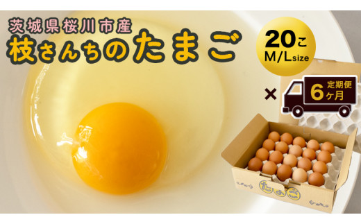 【3ヶ月定期便】枝さんち の たまご 20個×3回 合計60個 定期便 産地