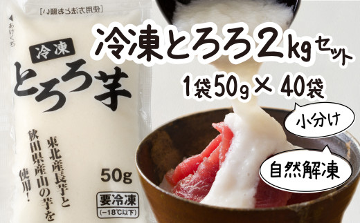 60p33 冷凍とろろ2キロセット 50g 40袋 秋田県大館市 ふるさとチョイス ふるさと納税サイト