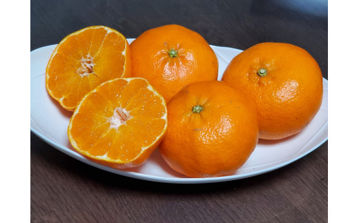 みかん 愛媛 甘平（5kg）サイズM～5Ｌ 人気 数量限定 先行予約 柑橘
