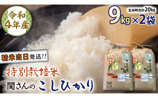 特別栽培米 》 令和4年産 精米日出荷 関さんの「 こしひかり 」 9kg