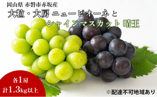 シャインマスカット 晴王 1房 ニューピオーネ 大粒 大房 1房 合計1.3kg ...