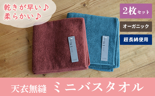 天衣無縫 オーガニック超長綿使用 スーピマ24 ミニバスタオル2枚セット