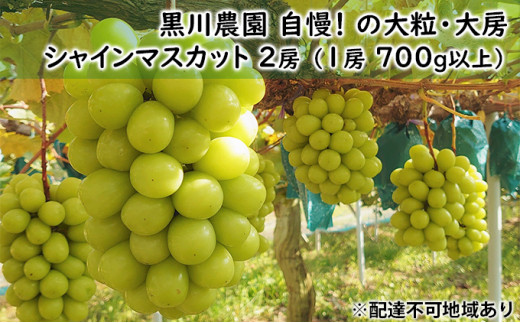 yRzԂǂ 2025N s\ _  !  嗱 [ VC }XJbg 2[ i1[ 700gȏj uhE   RY Y t[c ʕ Mtg