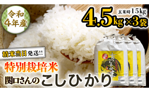 令和4年産新潟コシヒカリ特別栽培米1等玄米5キロ2個か、白米4.5キロ2個 12