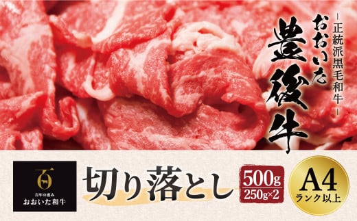【大分県竹田市】正統派黒毛和牛 おおいた豊後牛 切り落とし 500g 小分け