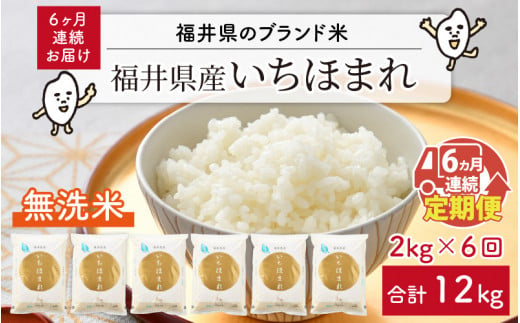 【令和5年産新米】定期便 ≪6ヶ月連続お届け≫ 福井県のブランド米 いちほまれ 無洗米 2kg × 6回 計12kg【 無洗米 人気 品種 ブランド米  特A 】[C-6101]