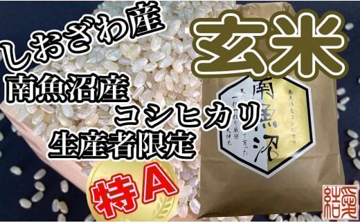 yV싛szyߘa7NYzyցz 싛YRVqJ5Kg×6y2025N10{菇\z
