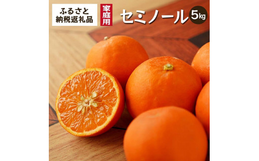 【和歌山県海南市】セミノール(みかん)5kg家庭用|和歌山県海南市下津町で育てた高級オレンジを産地直送でお届け【2026年4月発送開始】
