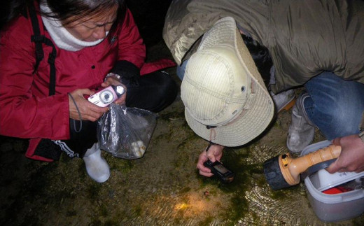 【環境省重要湿地】【屋嘉田潟原】夜の干潟の観察（3人）