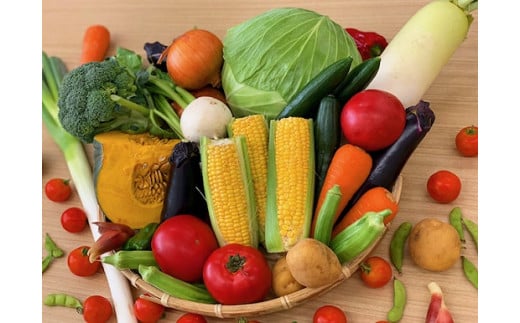【神奈川県川崎市】川崎市市内産新鮮野菜・農産物詰め合わせ