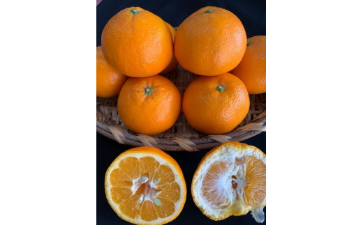 【和歌山県有田川町】いよかん 赤秀品 5kg(L、2L/サイズ指定不可)