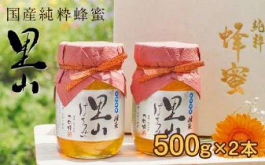 サンプル写真