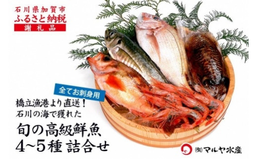 石川県・加賀市 旬の鮮魚 ( 刺身用/下処理済 ) 詰合せ 4～5種